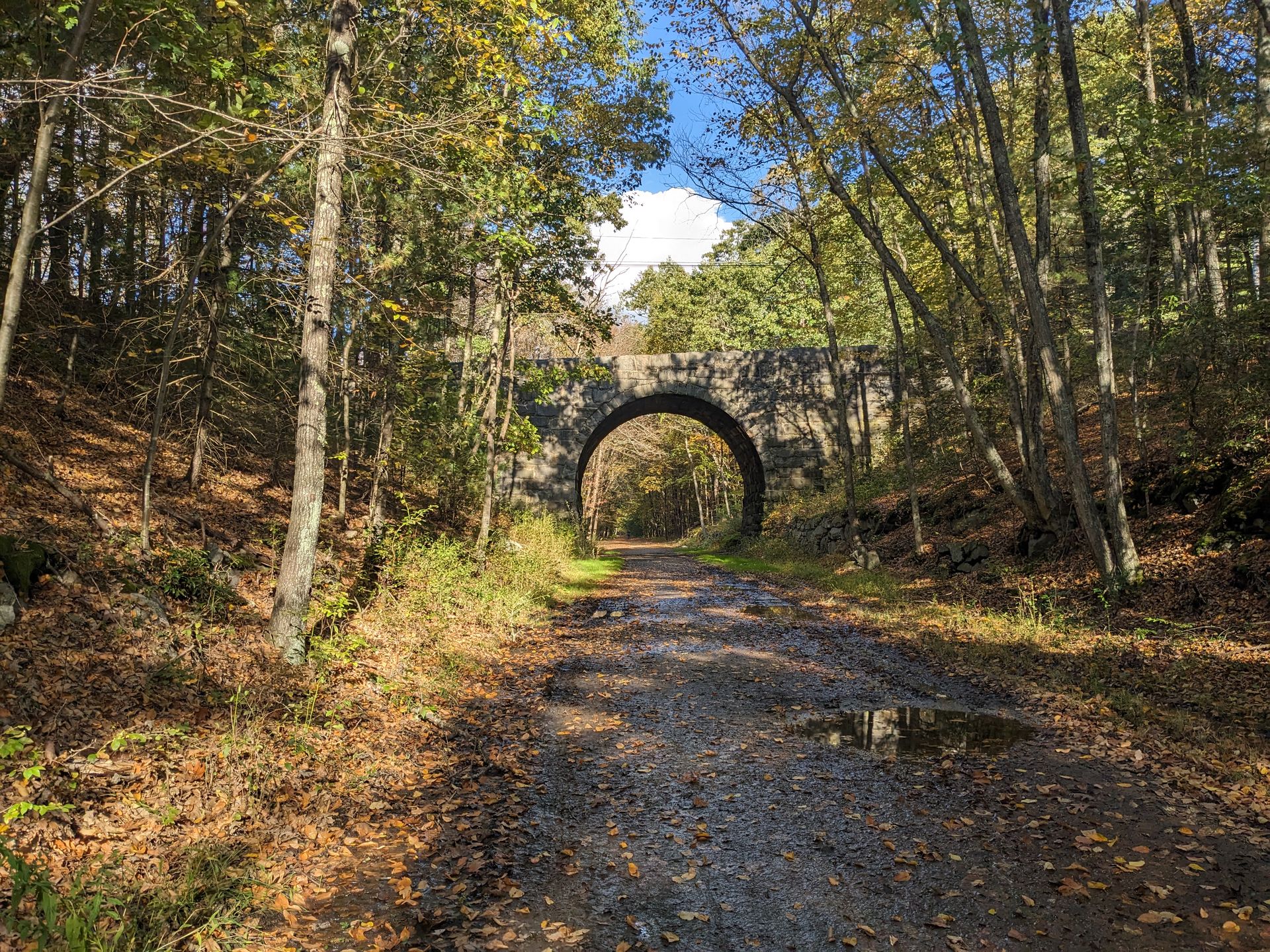 Bike Tour: New York City to Boston